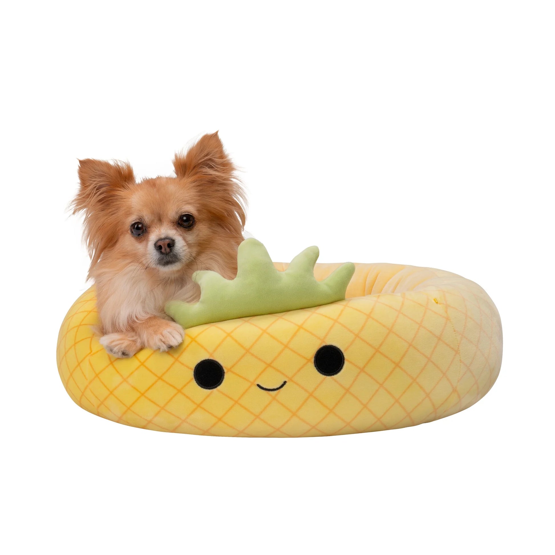 20 Inch Pineapple Pet Bed - Small Ultrasoft Official  Plush Pet Bed
