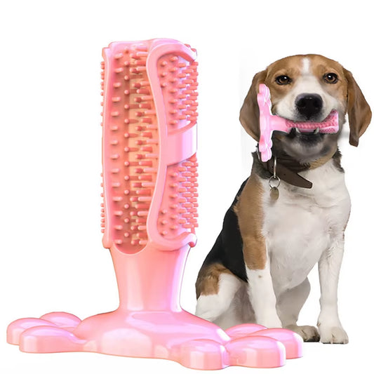 Pet Dog Cactus Interactive Rubber Chew Toys for Small Large Dogs Tooth Cleaning Toothbrush for Medium Large Dogs Treat Dispenser